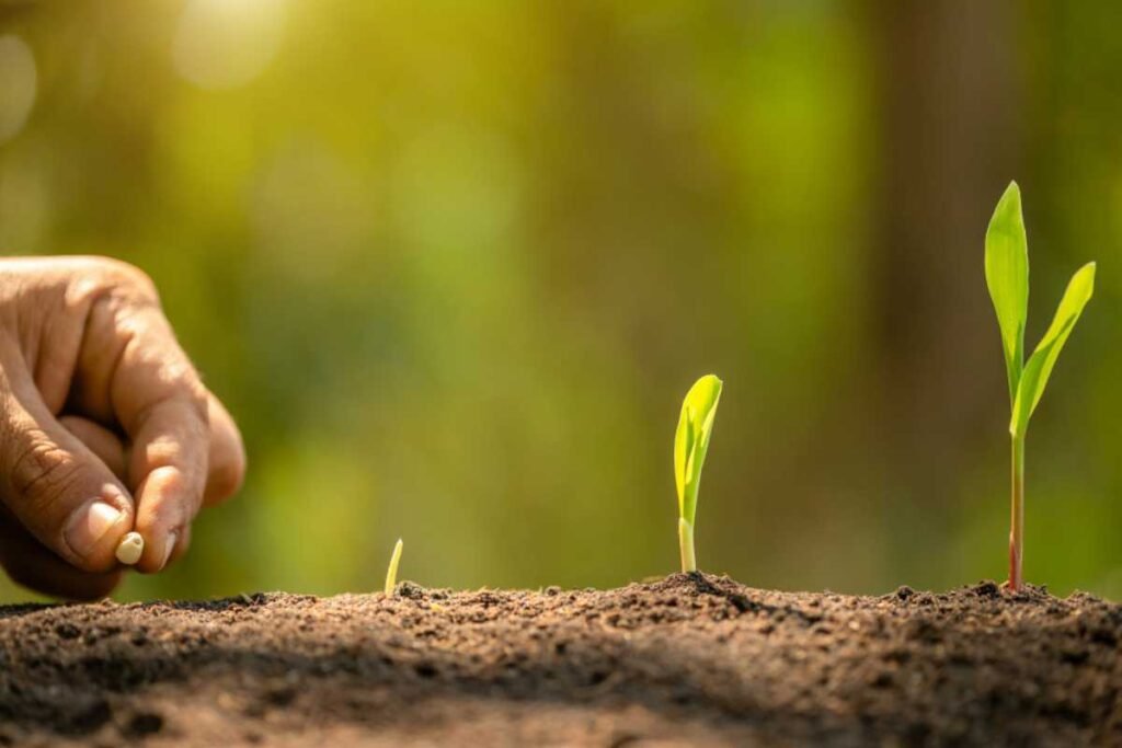 Pressão de pragas no início do ciclo: como proteger sua lavoura desde os primeiros dias