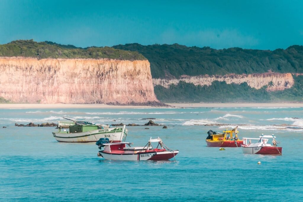Baía dos Golfinhos: o refúgio natural do Rio Grande do Norte onde mar e vida selvagem se encontram Baía dos Golfinhos: o refúgio natural do Rio Grande do Norte onde mar e vida selvagem se encontram
